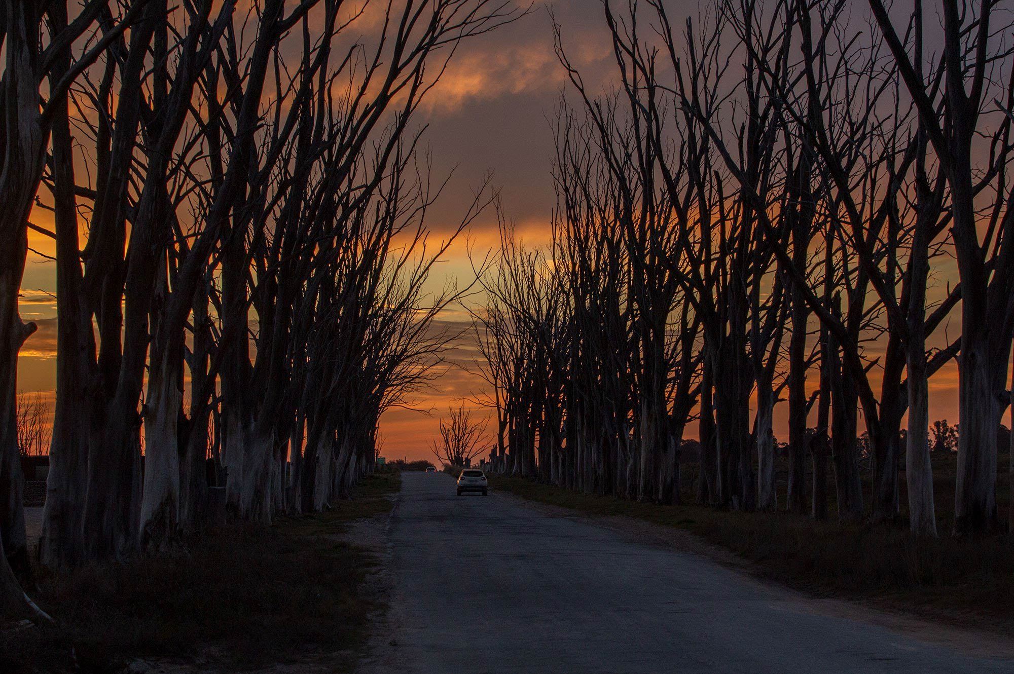 Ruinas de Epecuén