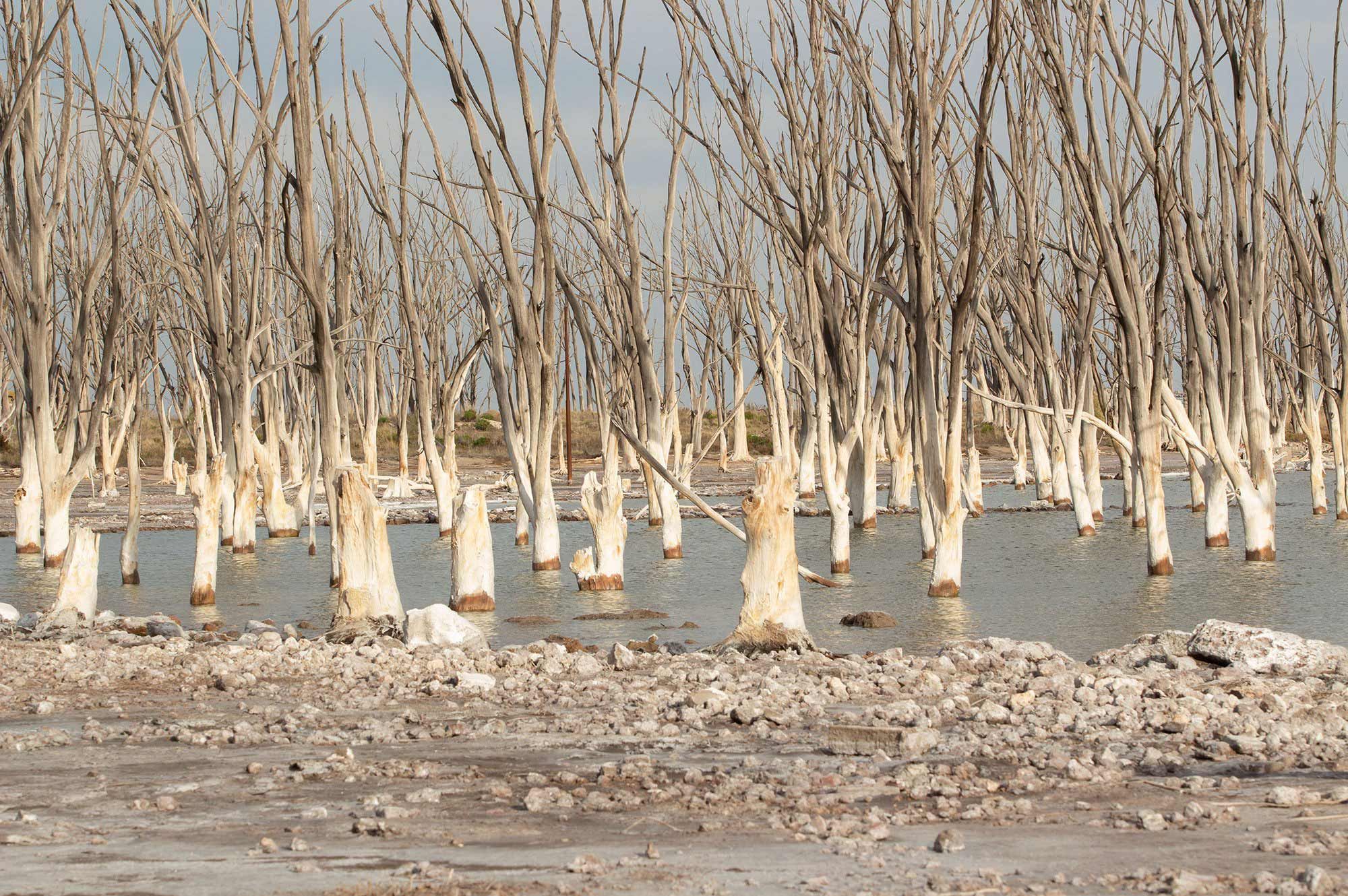 Ruinas de Epecuén