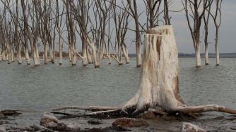 Epecuén 20190820