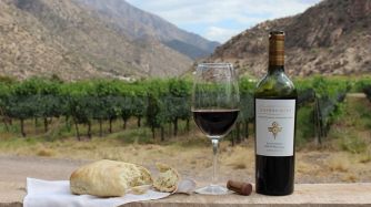 El torrontés es la marca insignia de La Rioja aunque el Bonarda cada vez se da mejor en estas tierras.