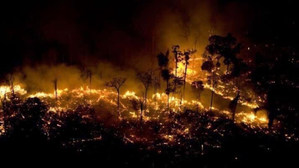 Una de las imágenes que se difundieron de los recientes incendios.