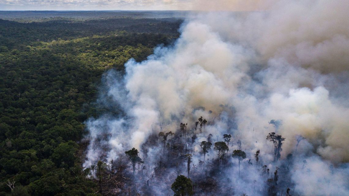 Trees in the Amazon burn amidst international outcry against the environmental policies of Jair Bolsonaro.