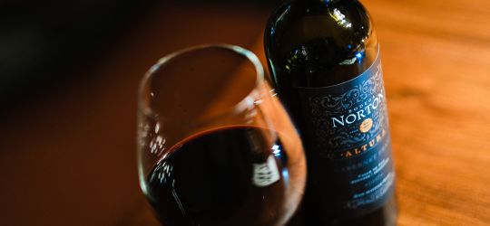 A la "Altura" de los vinos de Norton