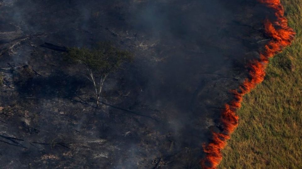 amazonas fuego 5 08232019