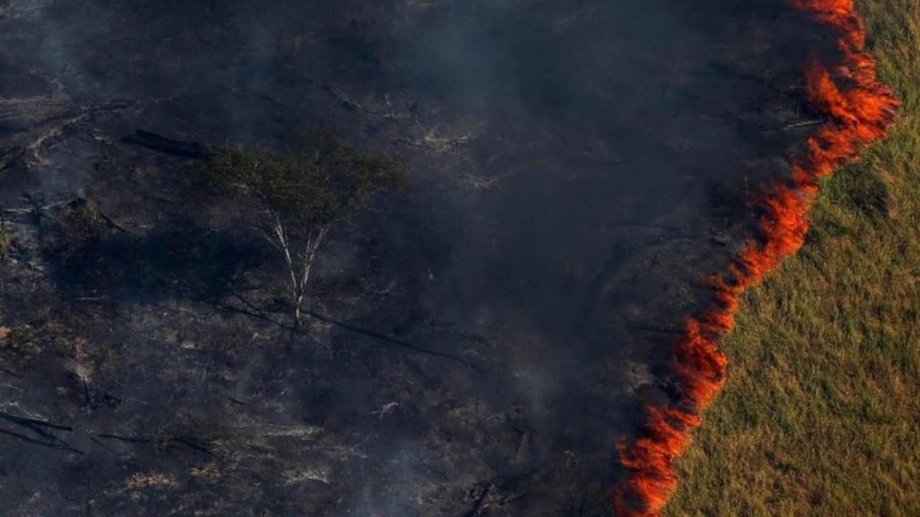 La foto fue tomada el 4 de agosto de 2017 por el fotógrafo de la agencia Reuters Bruno Kelly.