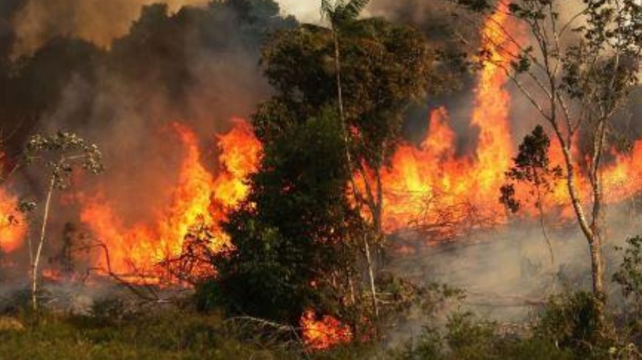 La foto que muestra las llamas que consumen los árboles sí fue tomada en la selva amazónica, pero corresponde al 22 de noviembre de 2014.