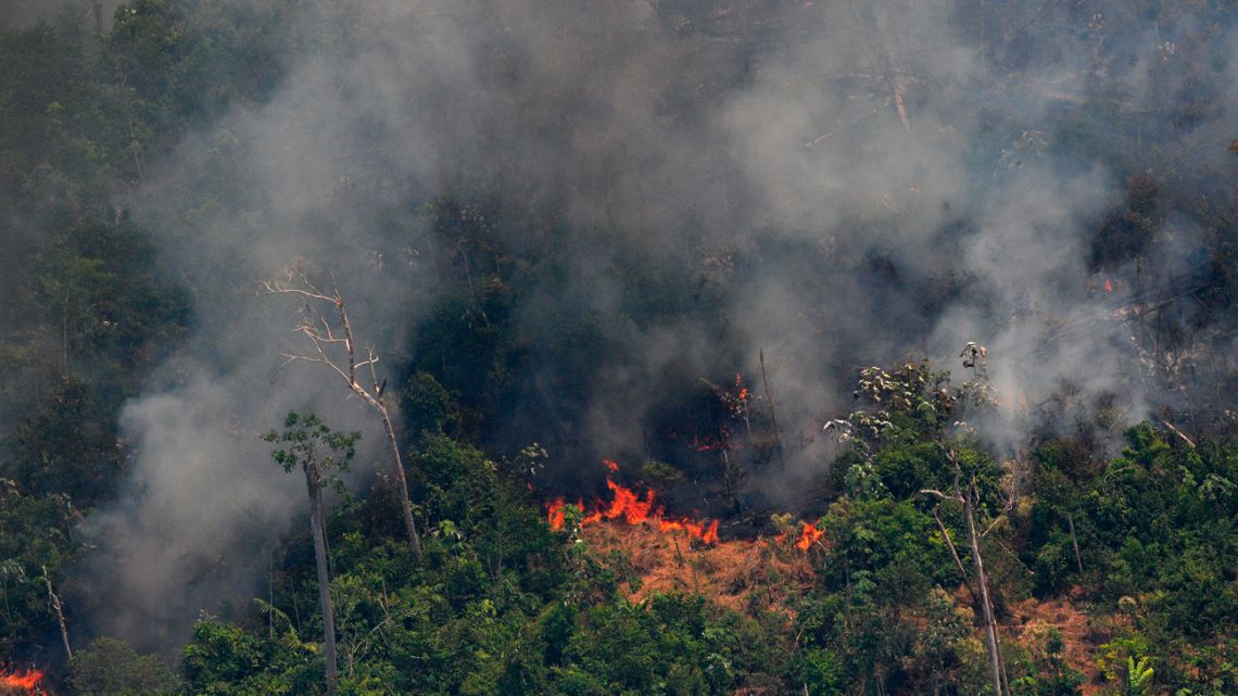 Aerial picture showing smoke from a two-kilometre-long stretch of fire billowing from the Amazon rainforest about 65 km from Porto Velho, in the state of Rondonia, in northern Brazil, on August 23, 2019. 