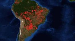 incendios amazonas efecto argentina