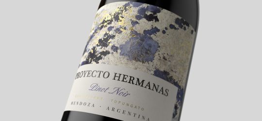 Proyecto Hermanas, lo nuevo de Lagarde