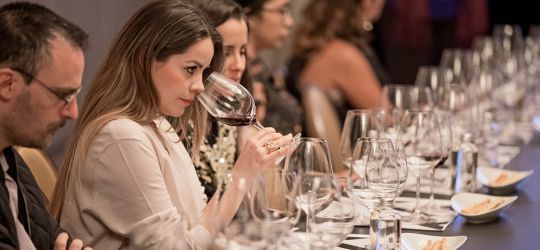 Los vinos argentinos se presentan en Brasil