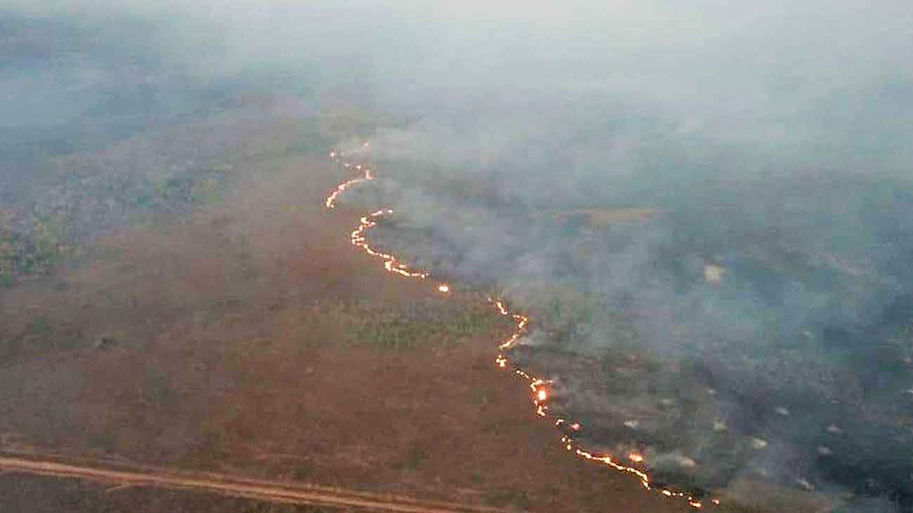 “Ecocidio”. Hay 76 mil focos en el Amazonas, un 85% más con respecto al mismo período de 2018. Las quemas habrían sido provocadas para deforestar un terreno a fin de convertirlo en área de pastoreo o para limpiar áreas ya deforestadas. Bolsonaro culpó a organizaciones ambientalistas.