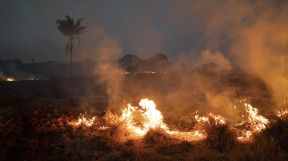 Incendio amazonas 24082019