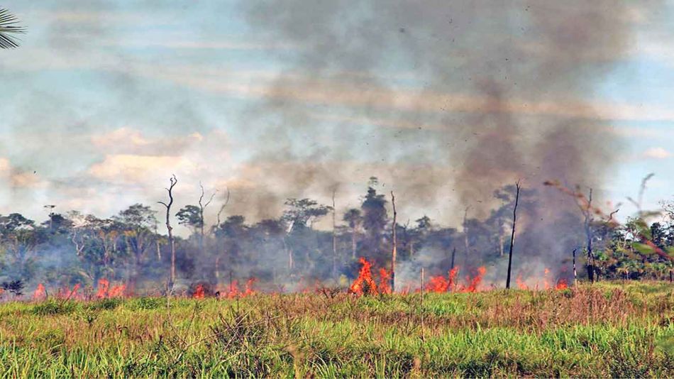 20190824_humo_fuego_brasil_publicas_g.jpg