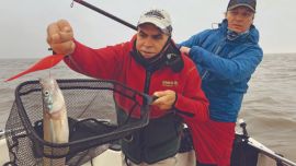 Los buenos pejerreyes siempre deben ser esperados con el copo, de otra manera al levantarlos podemos cortar la brazolada o romperles la boca.