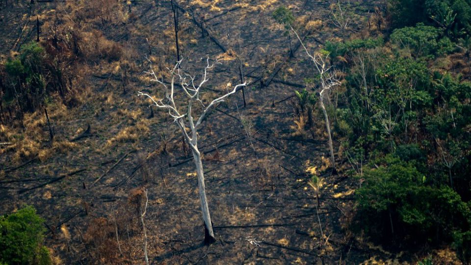 incendio amazonia brasil afp