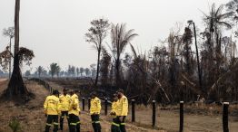 Brazilian Amazon Burns At Record Rate