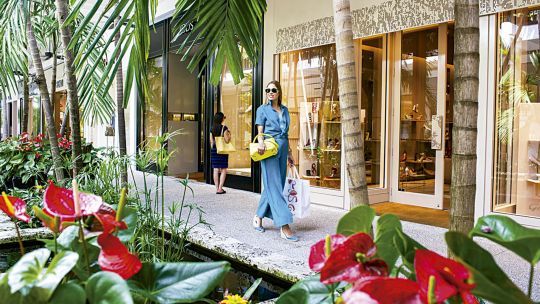 10 salidas imperdibles para hacer en Bal Harbour