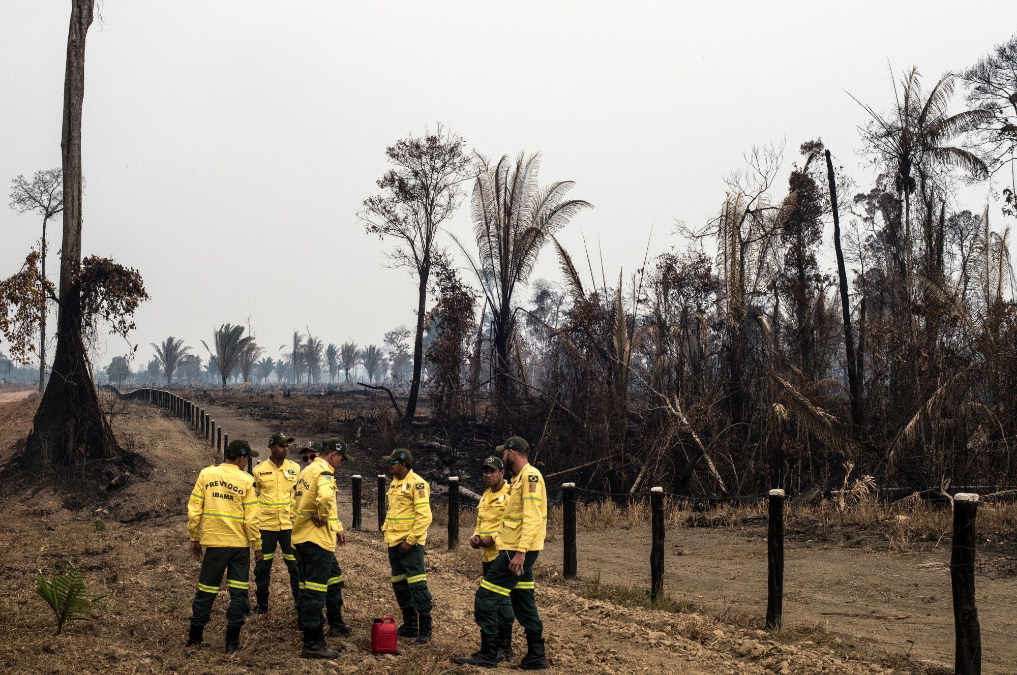 Brazilian Amazon Burns At Record Rate