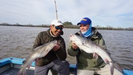 Varios fueron los dobletes obtenidos por los pescadores en el Río de la Plata.