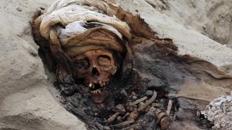 Arqueólogos encuentran restos de 227 niños sacrificados_g 20190829