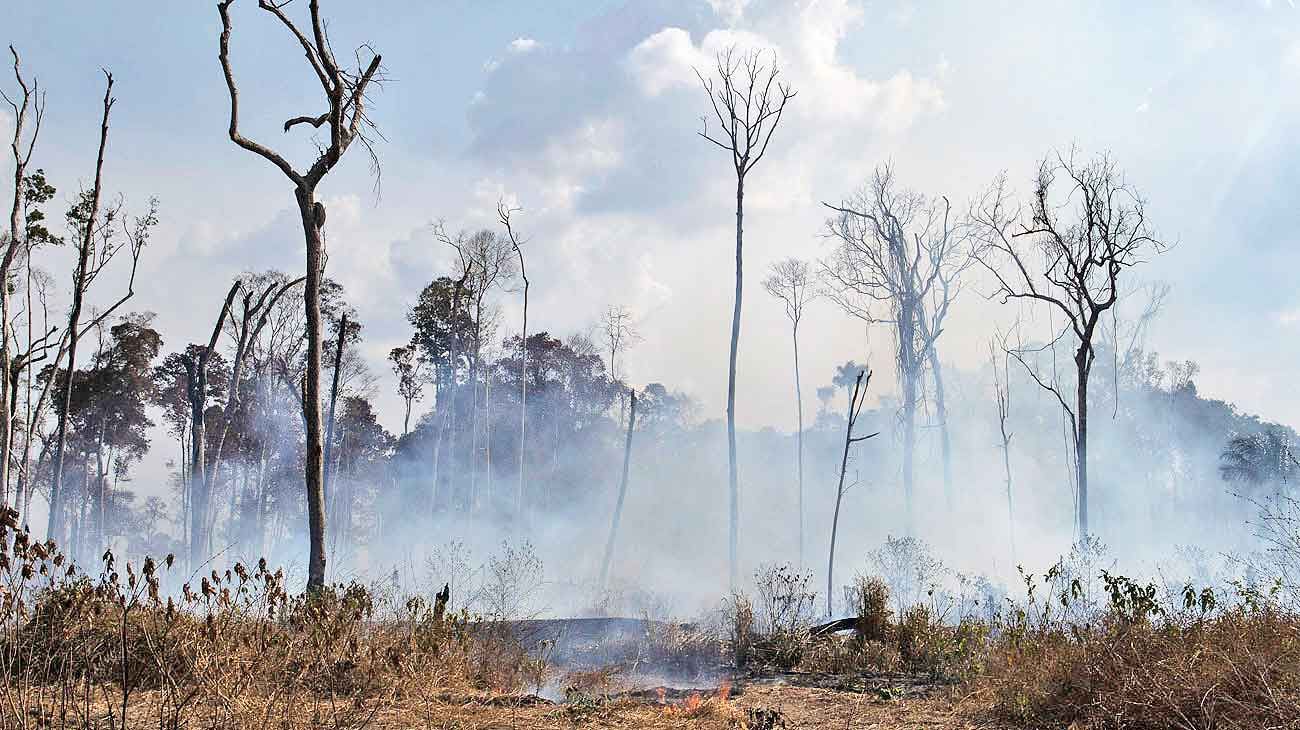 Sin tregua. El fuego sigue avanzando en la región amazónica a pesar de la prohibición de las quemas en todo Brasil por sesenta días.