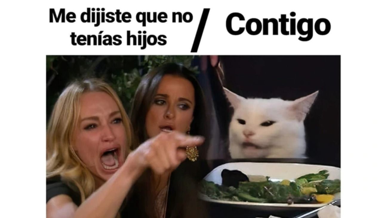 Meme de la mujer y el gato. 