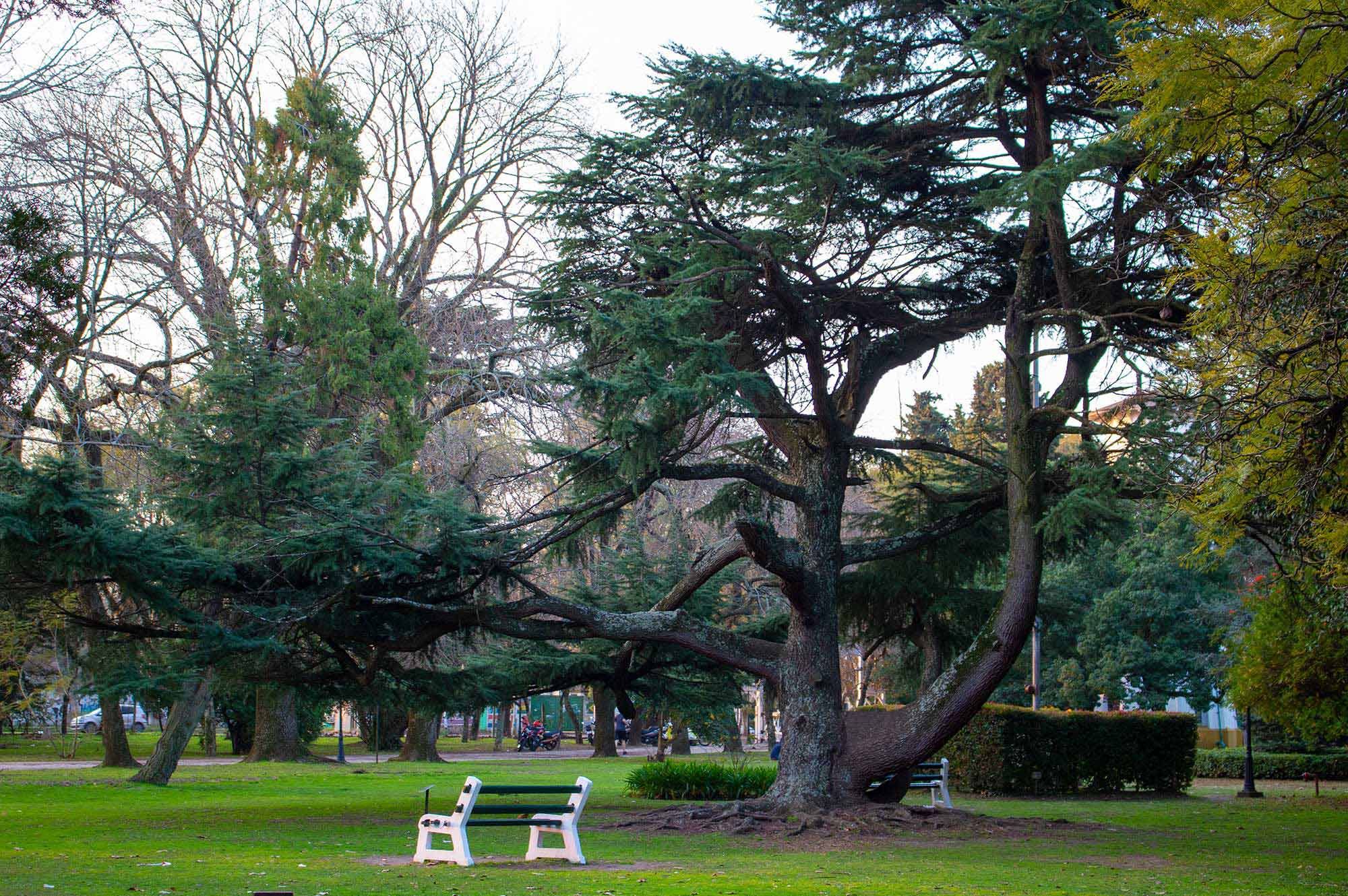 Parque Cervecero de Quilmes y la Villa Argentina