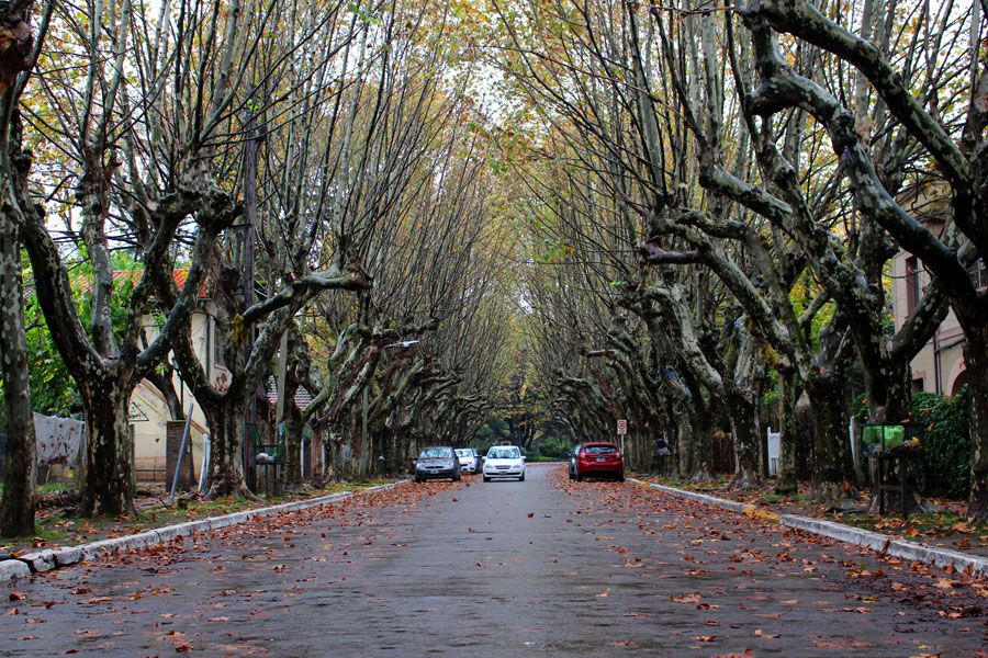 Parque Cervecero y La Villa Argentina 