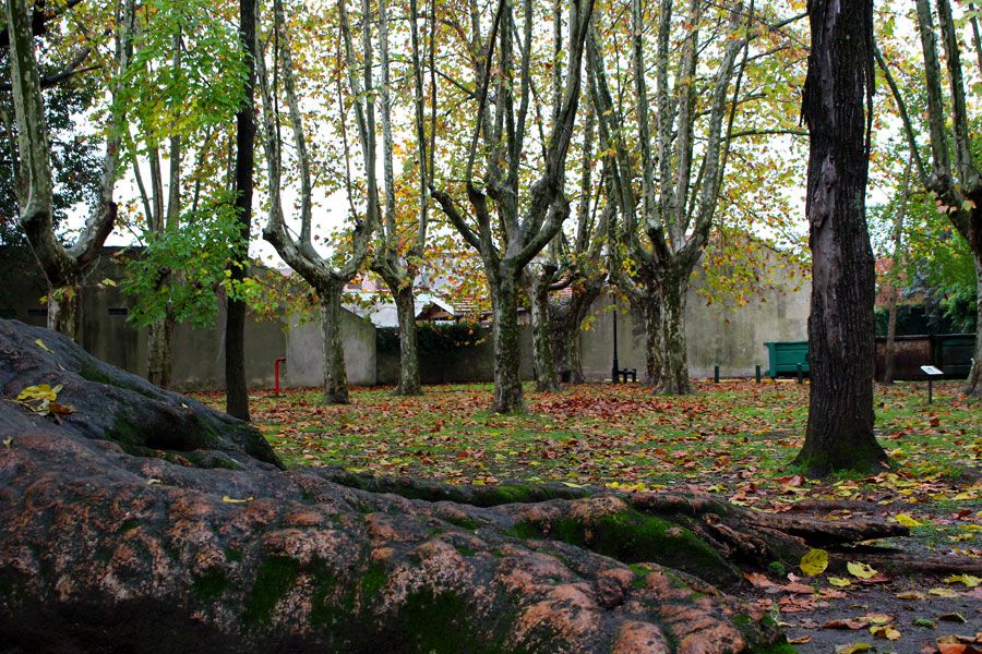 Parque Cervecero y La Villa Argentina 