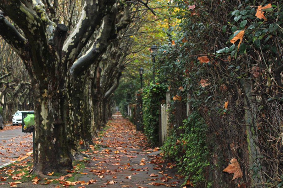 Parque Cervecero y La Villa Argentina 