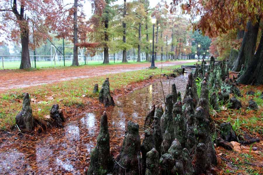 Parque Cervecero y La Villa Argentina 