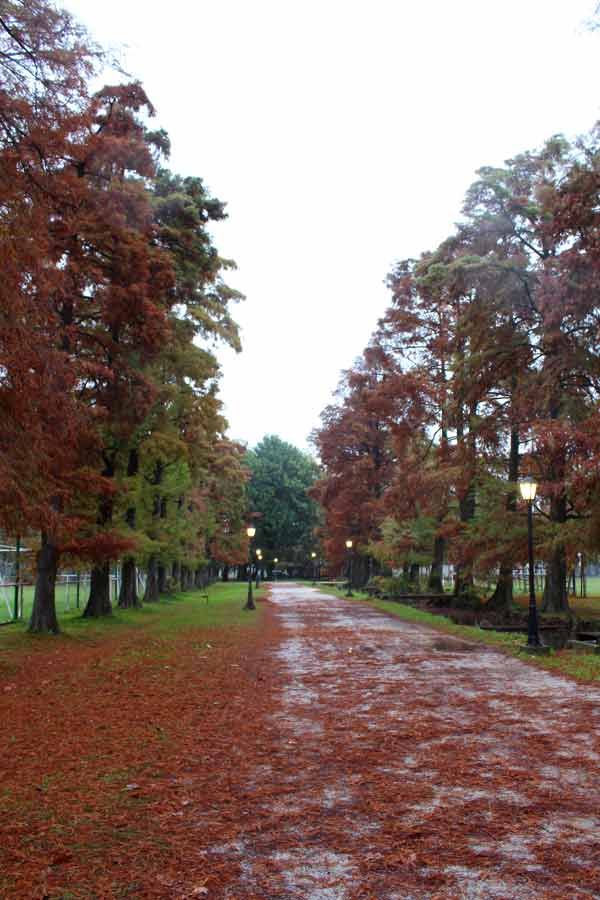 Parque Cervecero y La Villa Argentina 