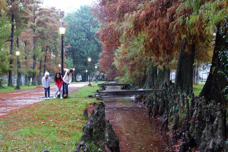 Parque Cervecero y La Villa Argentina 