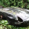 El Jaguar E-type Series 1 4.2  RHD FHC fue rescatado de las malezas y restaurado.