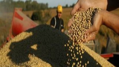 En 2016 el oficialismo presentó una propuesta. Pero la gran novedad fue la presentación de proyectos por parte de una entidad de productores, la Federación Agraria Argentina (FAA), y una cámara empresarial semillera, la Asociación de Semilleros Argentinos (ASA).