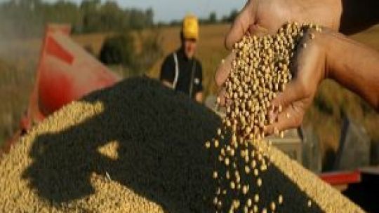 En 2016 el oficialismo presentó una propuesta. Pero la gran novedad fue la presentación de proyectos por parte de una entidad de productores, la Federación Agraria Argentina (FAA), y una cámara empresarial semillera, la Asociación de Semilleros Argentinos (ASA).
