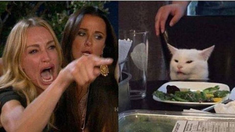 La Foto Viral De El Gato En La Mesa Que Desató Una Ola De Memes Perfil