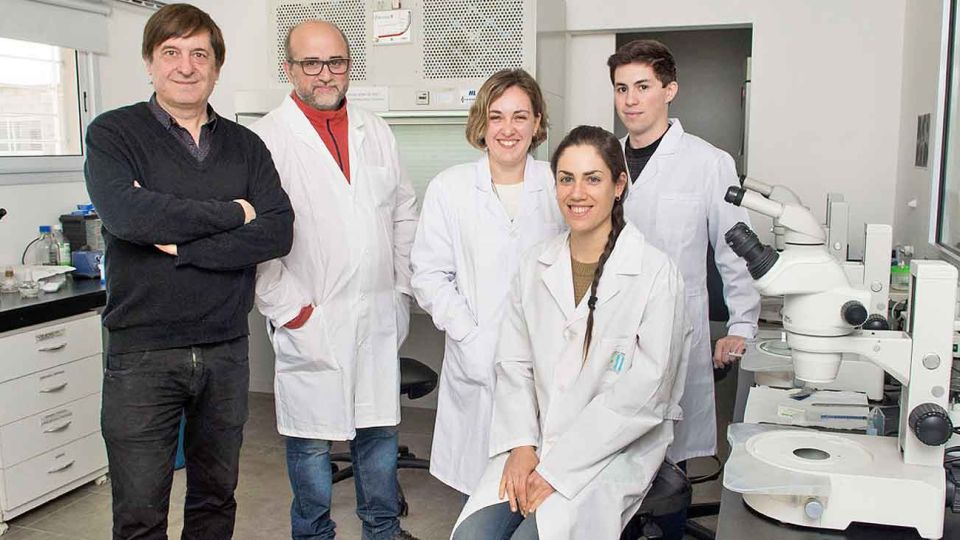 Equipo. (De der. a izq.) Daniel Salamone, Rafael Fernández-Martín, Laura Ratner, Olinda Briski y Gastón La Motta.