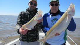 Los grandes matungos todavía dan pelea en el Río de la Plata.
