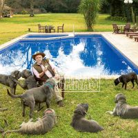 Lino Patalano muestra su quinta de ocho hectáreas en Moreno