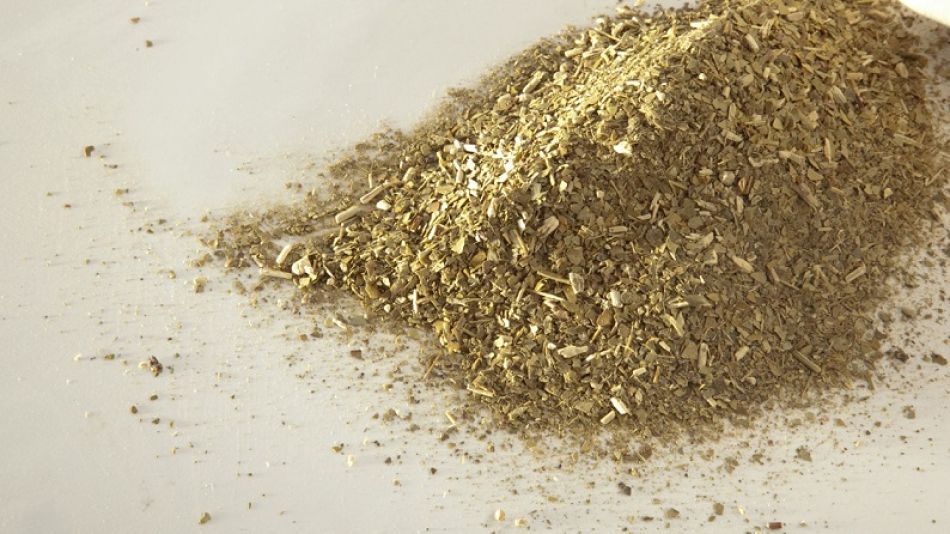 Aumento en la yerba mate procesada y en consumo interno en los primeros siete meses del año.
