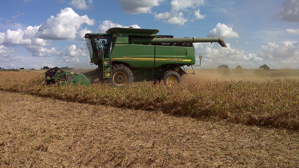 Trituradoras de soja argentinas, más cerca de exportar a China.
