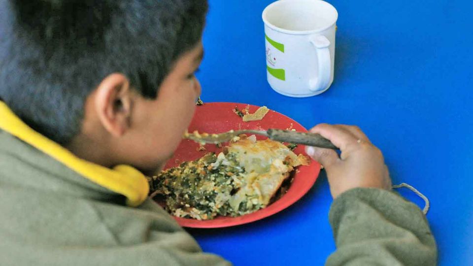 Comida. Hasta el momento, los análisis del agua como de alimentos dieron negativos.