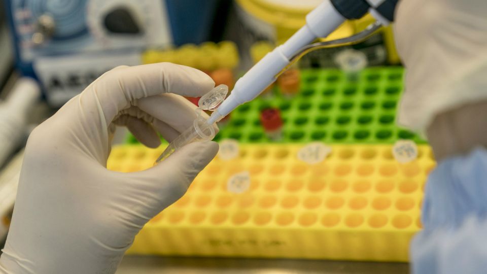 El caso médico del hombre, publicado el miércoles en New England Journal of Medicine (NEJM), es el primer informe detallado en una importante revista académica sobre cómo los médicos están usando la herramienta experimental Crisp para manipular el ADN