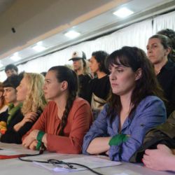 Actrices Argentinas apoyó a Anahí de la Fuente (Fotos: Pablo Cuarterolo)
