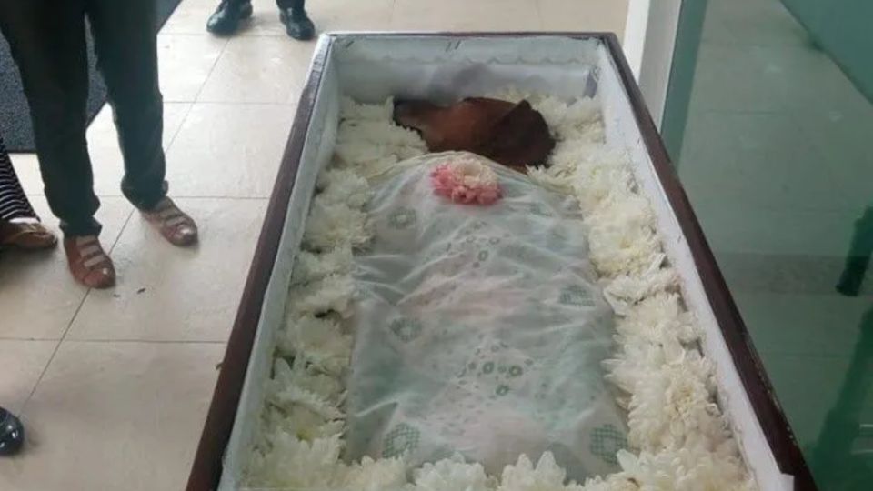 En la foto difundida por Facebook, el animal aparece envuelto en una sábana y con flores en un ataúd adecuado a su tamaño.