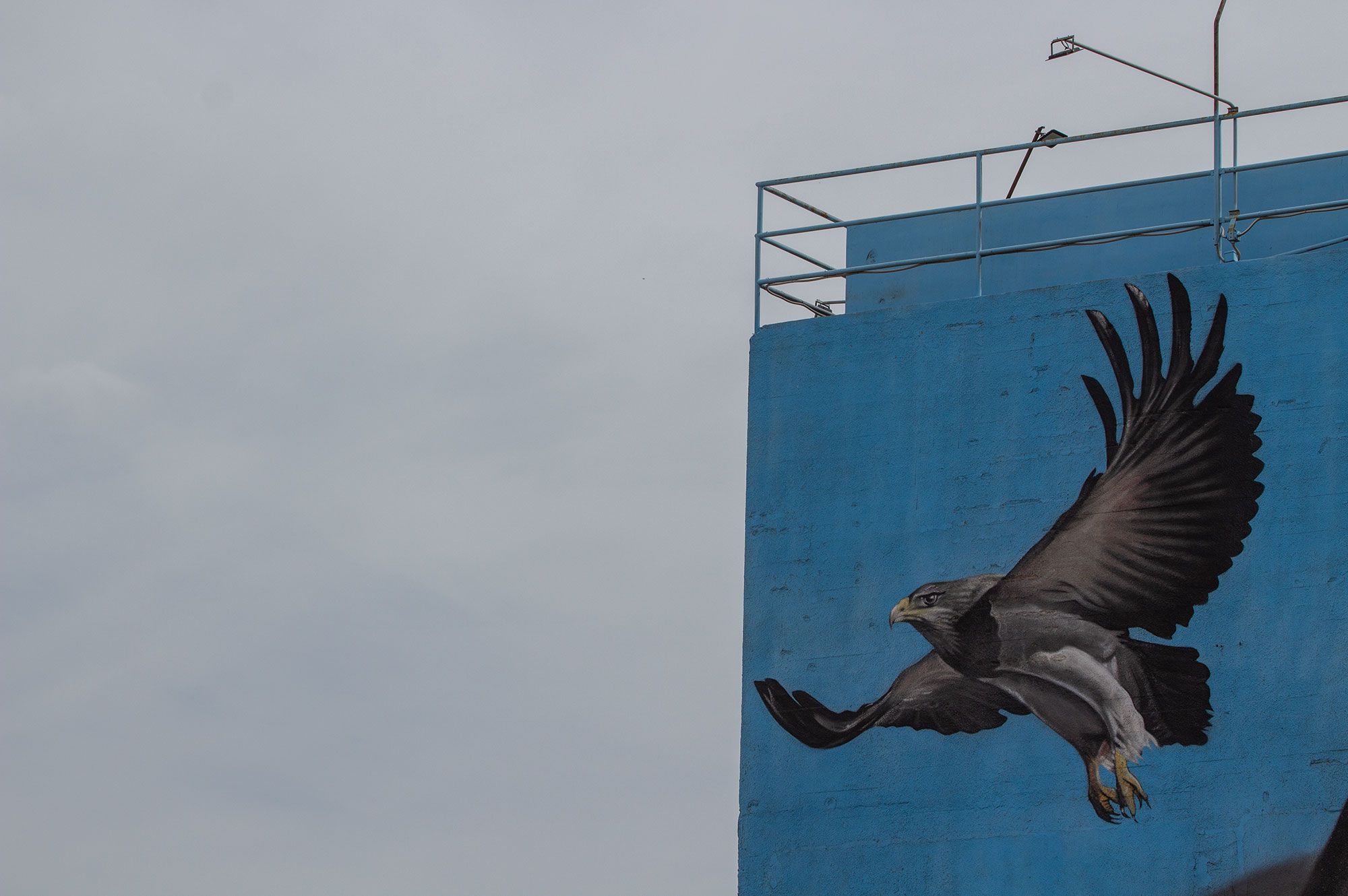 Alfredo Segatori, artista plástico y muralista.