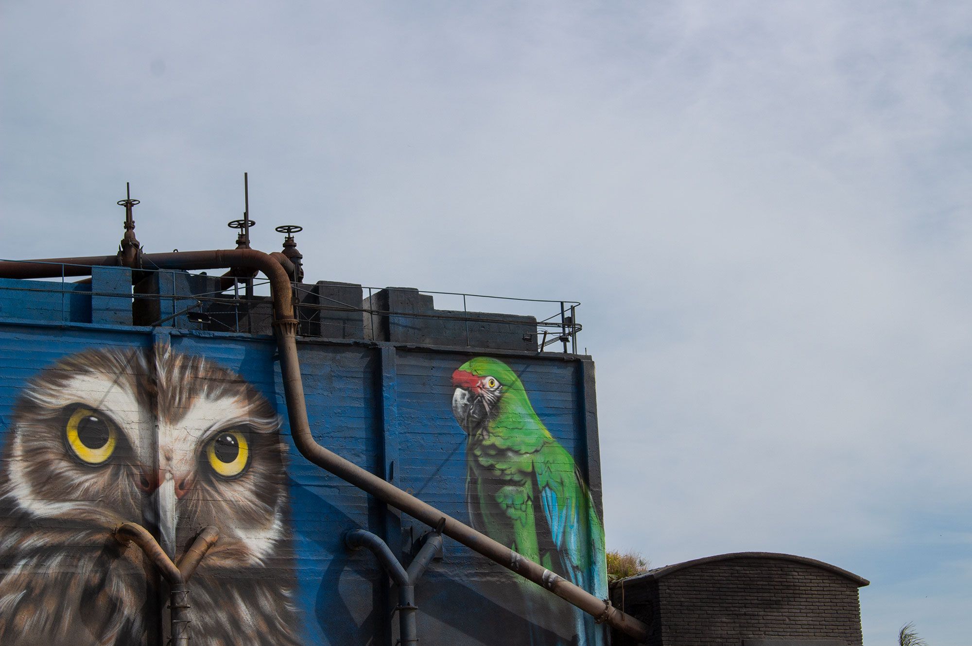 Alfredo Segatori, artista plástico y muralista.