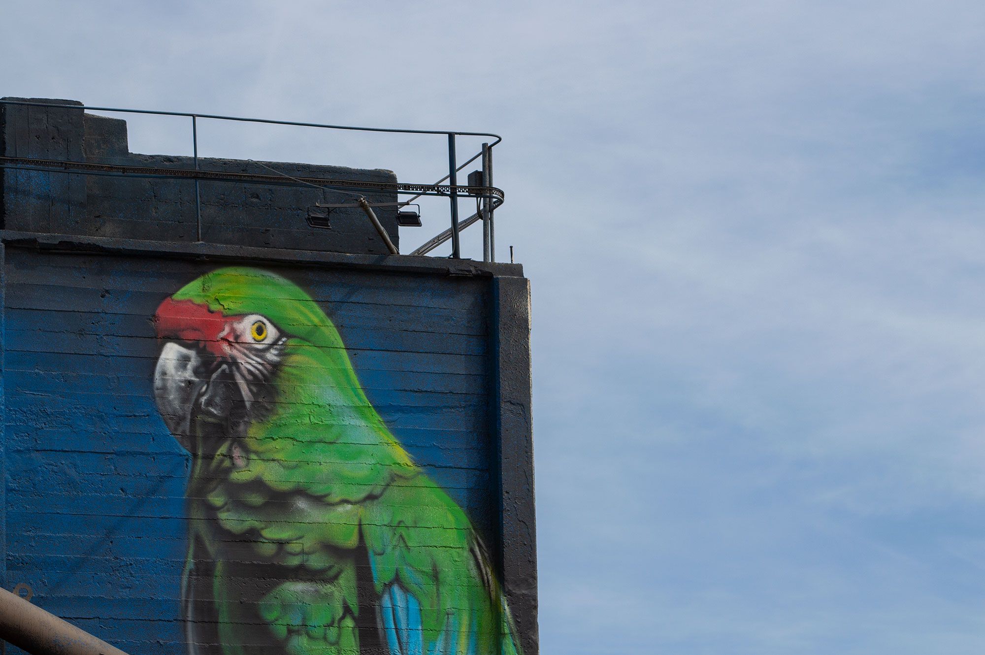 Alfredo Segatori, artista plástico y muralista.