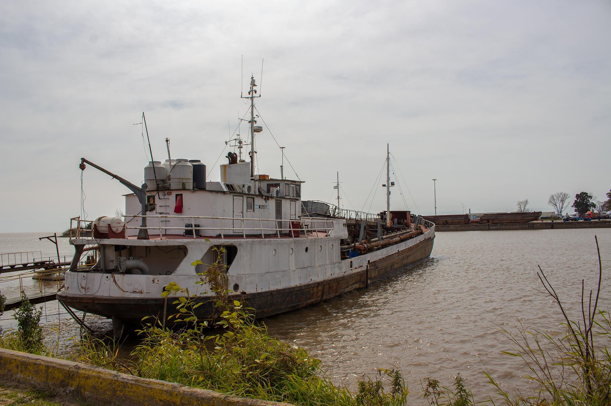 Alfredo Segatori, artista plástico y muralista.